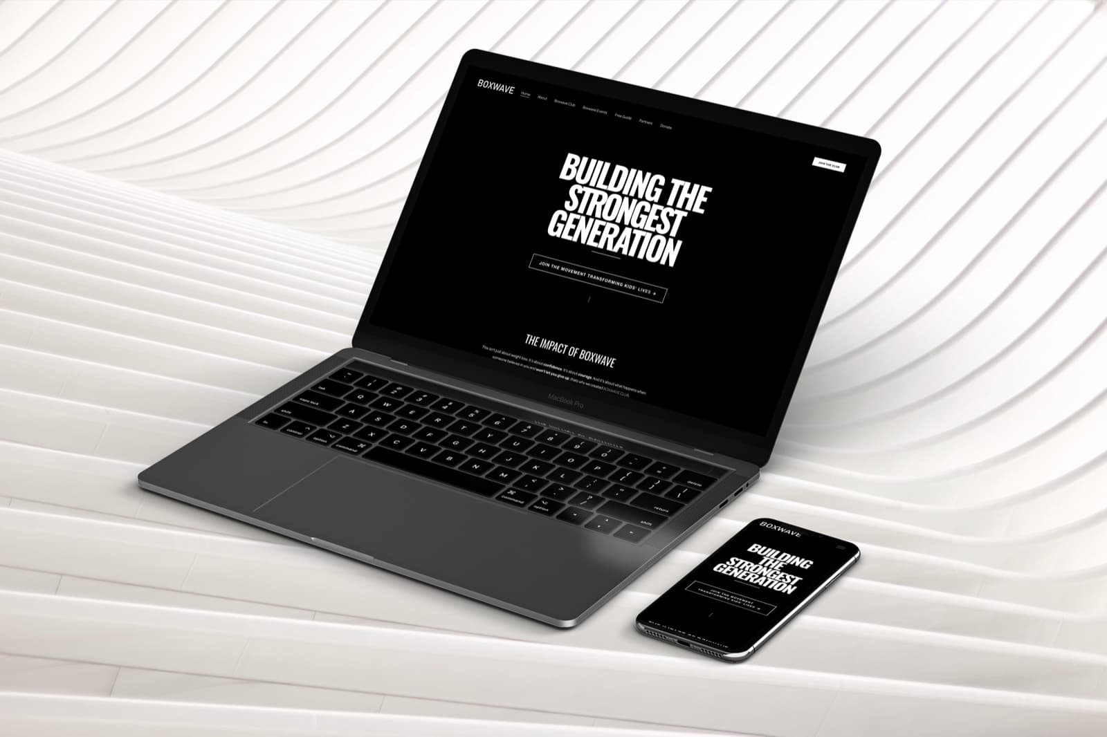 boxwave website screenshot